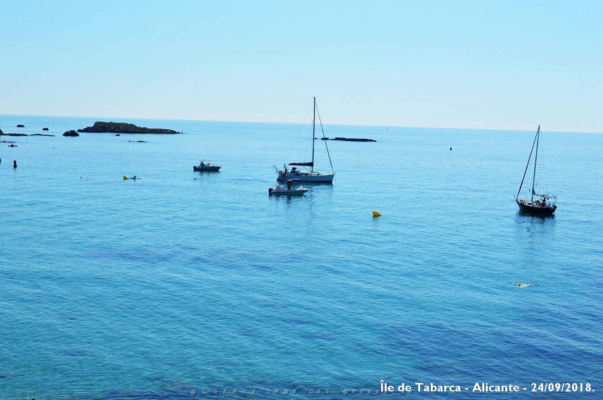 21 ALICANTE L ILE DE TABARCA (83).JPG